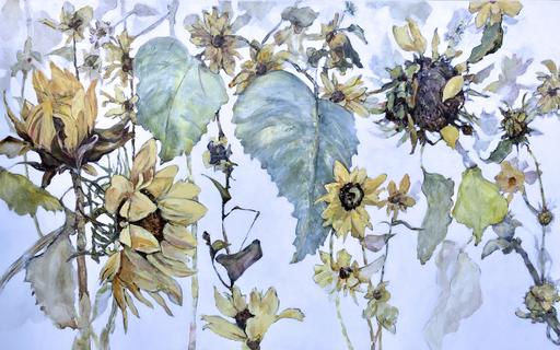 Sunflowers Keep their Faces to the Sun 