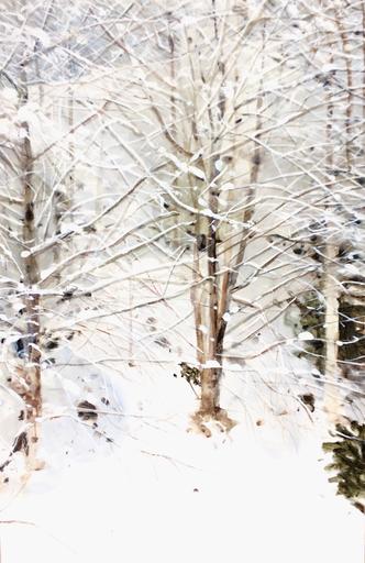Alders