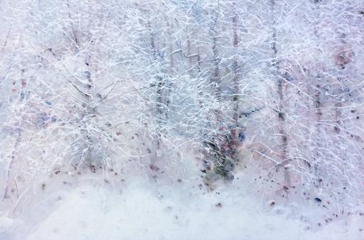 Snowfall