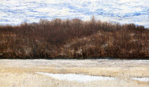 Valley Floor