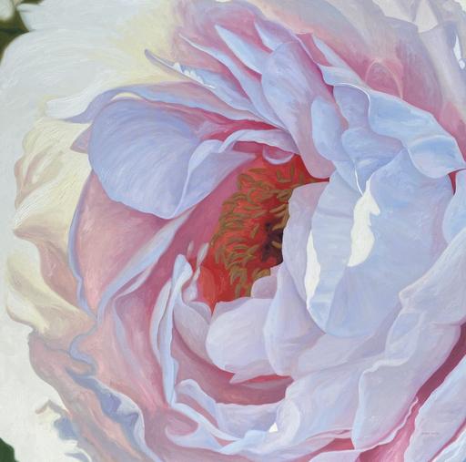 Joyous Peony 