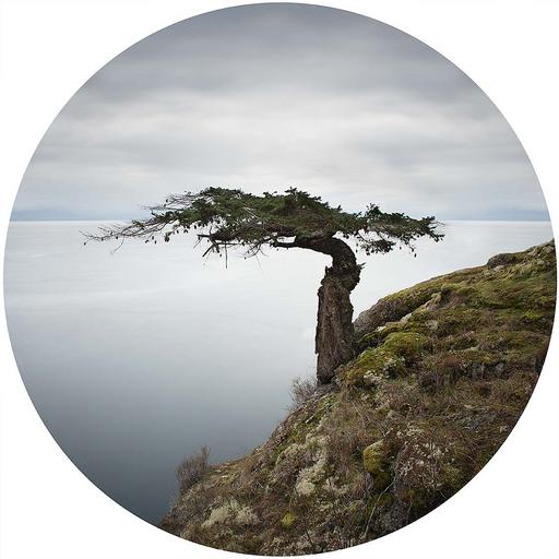Sentinel