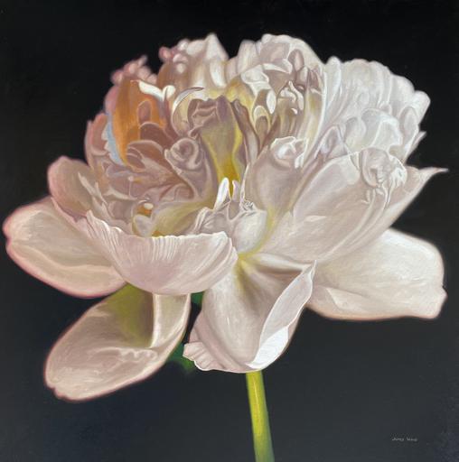 Shimmering Peony