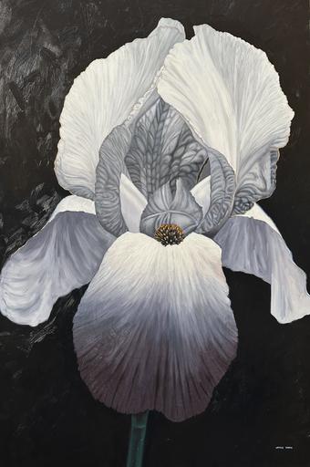 Solitary iris II 