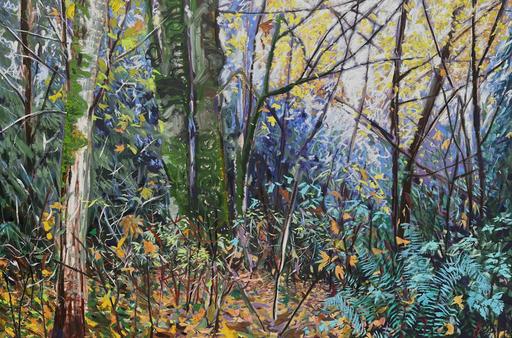 Forest Visions X