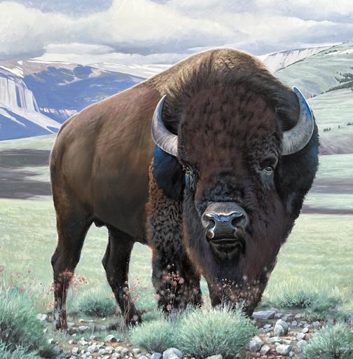 High Plains Drifter