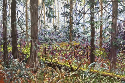 Understory
