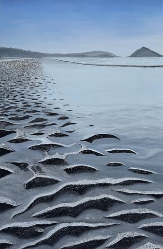 Beach Dunes 