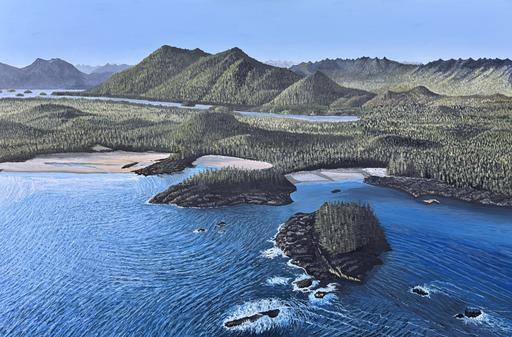 Tofino Coast 