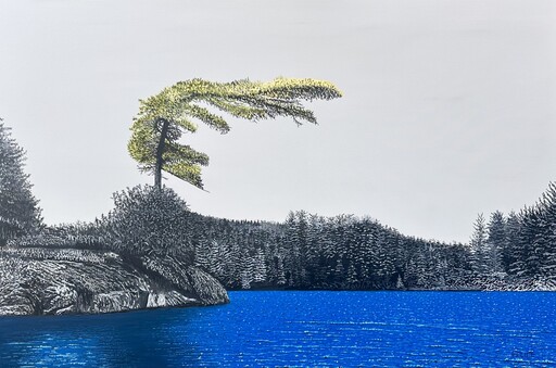 Yellow Pine 